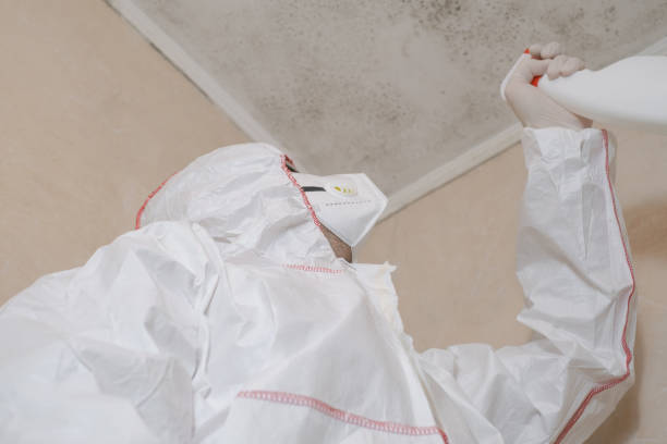 Best Mold Cleaning Services  in Watsessing, NJ