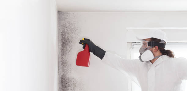 Best Crawl Space Mold Removal  in Watsessing, NJ