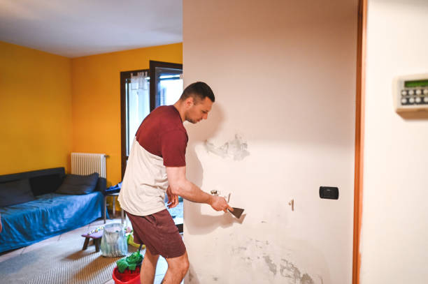 Best Commercial Mold Removal  in Watsessing, NJ