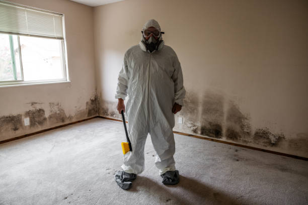 Best Mold Remediation Experts  in Watsessing, NJ